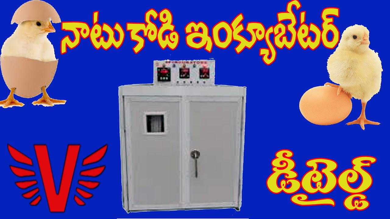 AUTOMATIC EGG INCUBATOR & PROCESS OF INCUBATION WITH HATCHING DETAILED EXPLANATION IN TELUGU