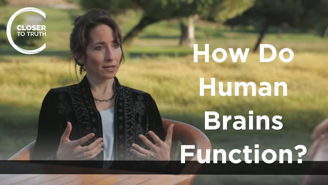Elissa Epel - How Do Human Brains Function?