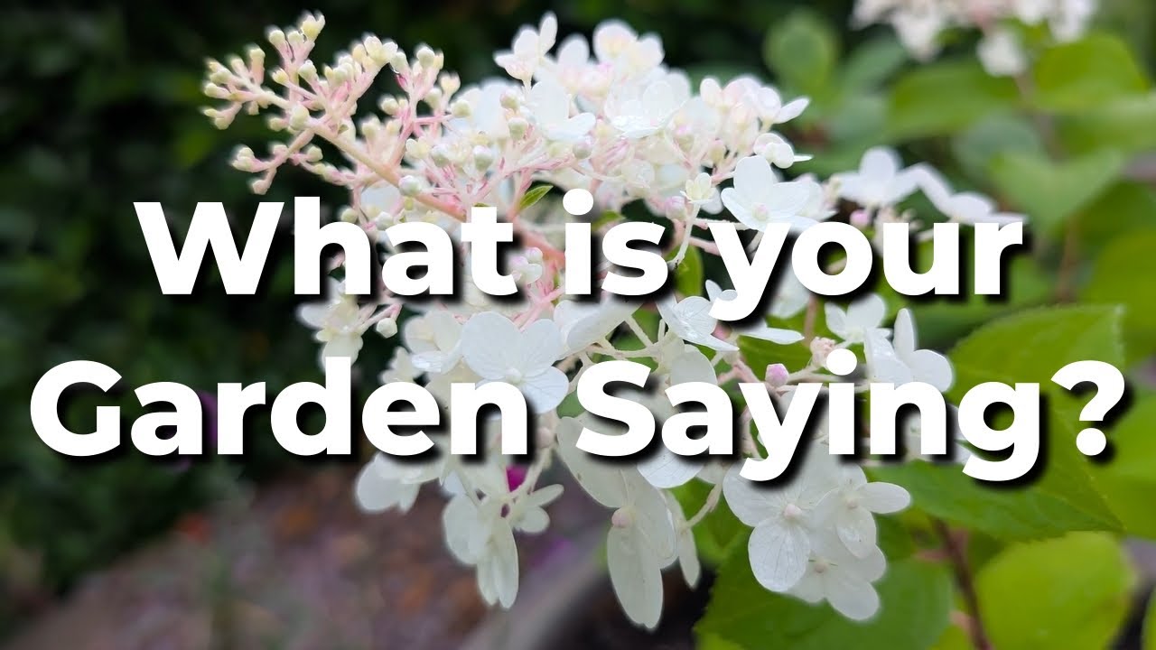 The Mid-Summer Garden's Secret