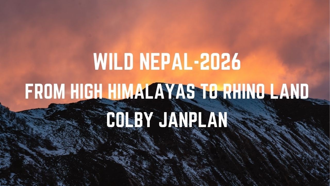 Wild Nepal: From High Himalayas to Rhino Land | Colby College JanPlan 2026