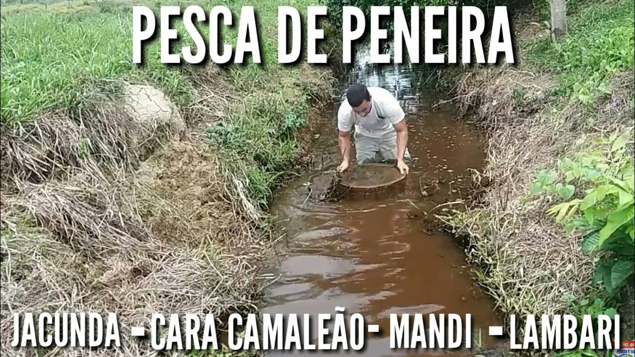 PESCANDO no RIACHO muita variedade de PEIXES - PESCA DE PENEIRA PARTE 12