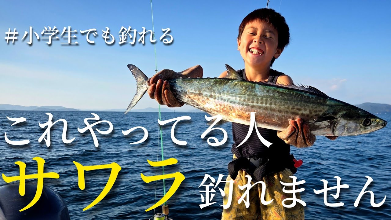 早巻きだけが正解じゃないサワラキャスティングで釣果を伸ばす方法【ナブラ打ち】