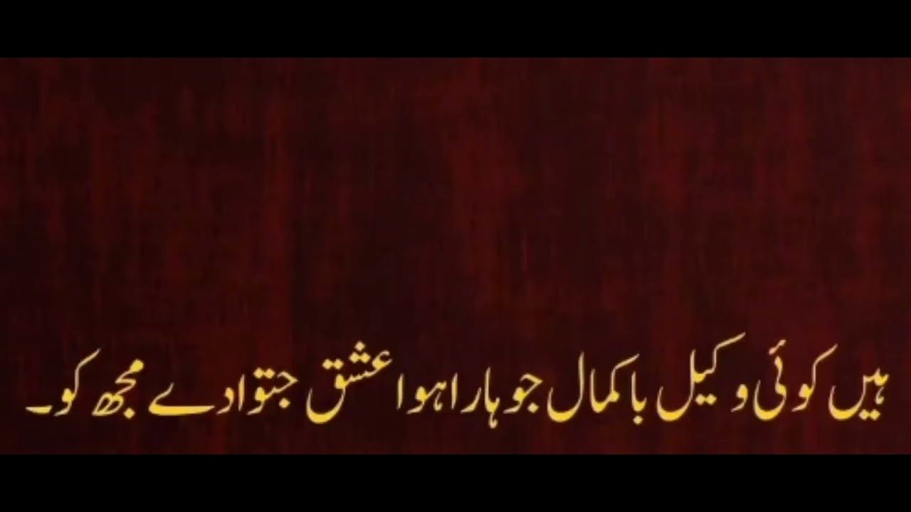 Hain koi wakeel bakamal jo haaara howa ishq jitwa dy mujhko