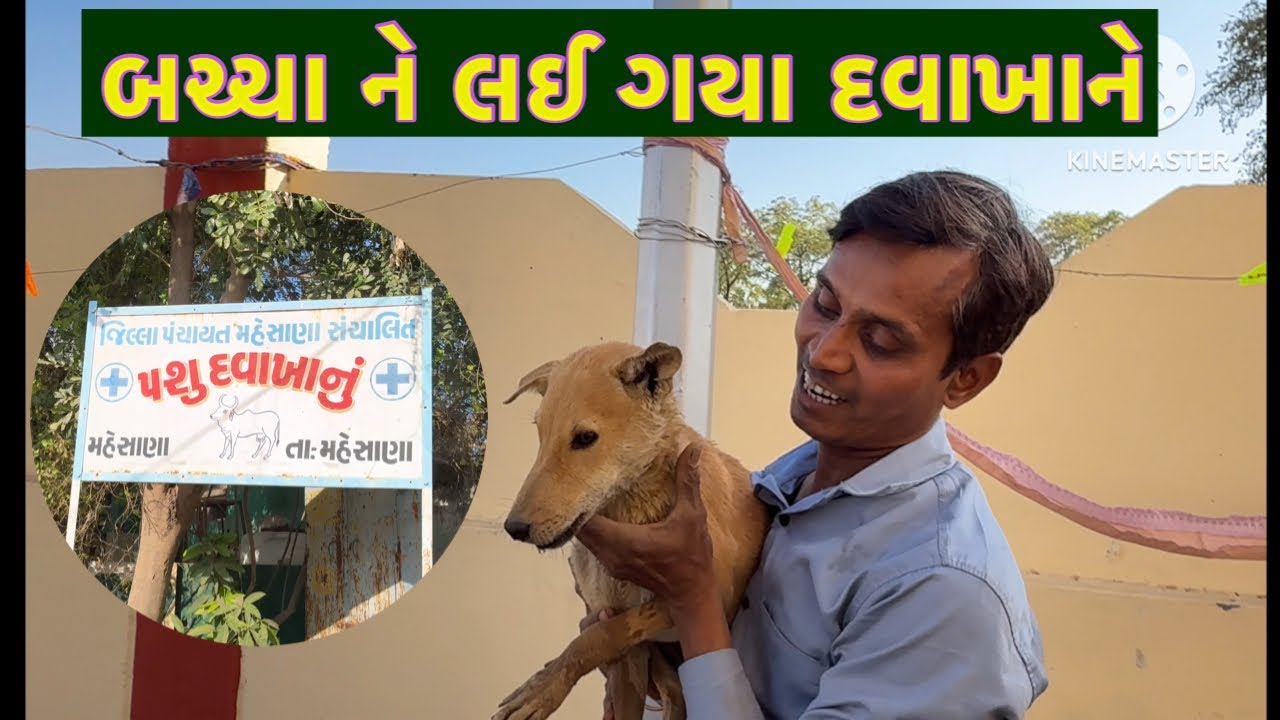 બચ્ચા ને લઈ ગયા દવાખાને // Bachha ne lai gaya hospital // animals lover vlog 