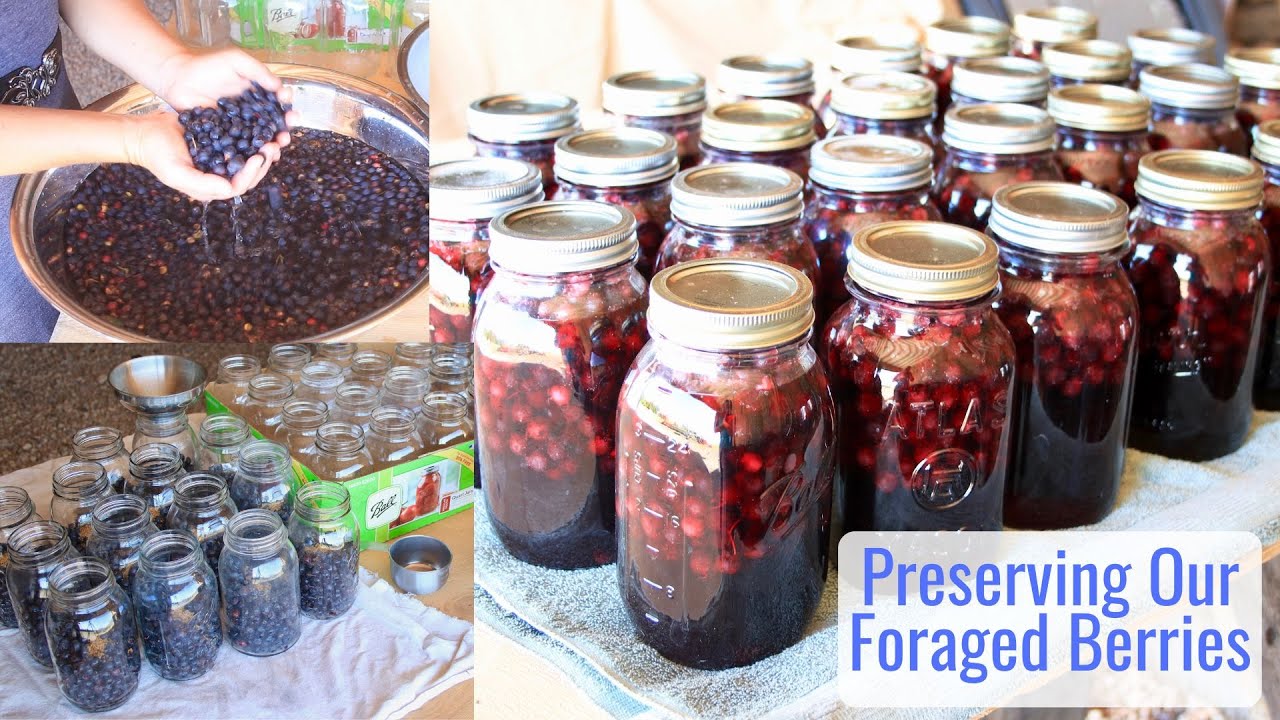 Preserving Our Foraged Berries - Super Easy Service Berry Juice Making, Works for Lots of Berries
