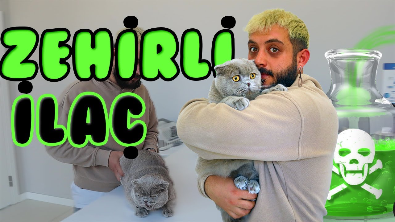 PETSHOP'TAN UCUZA AŞI ALINIR MI? | Dış Parazit Zehirlenmesi Nasıl Olur?