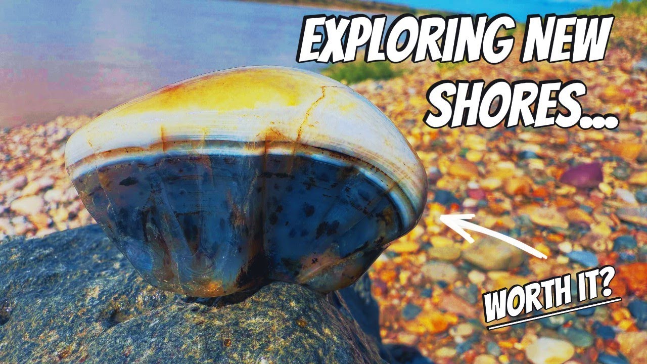 Agates, Ants & Adventure | Yellowstone River Rockhounding