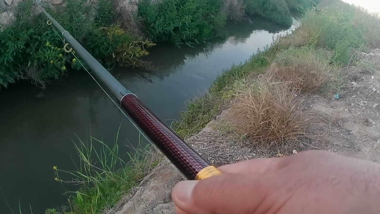 Pescando Carpas en la acequia del Mayayo
