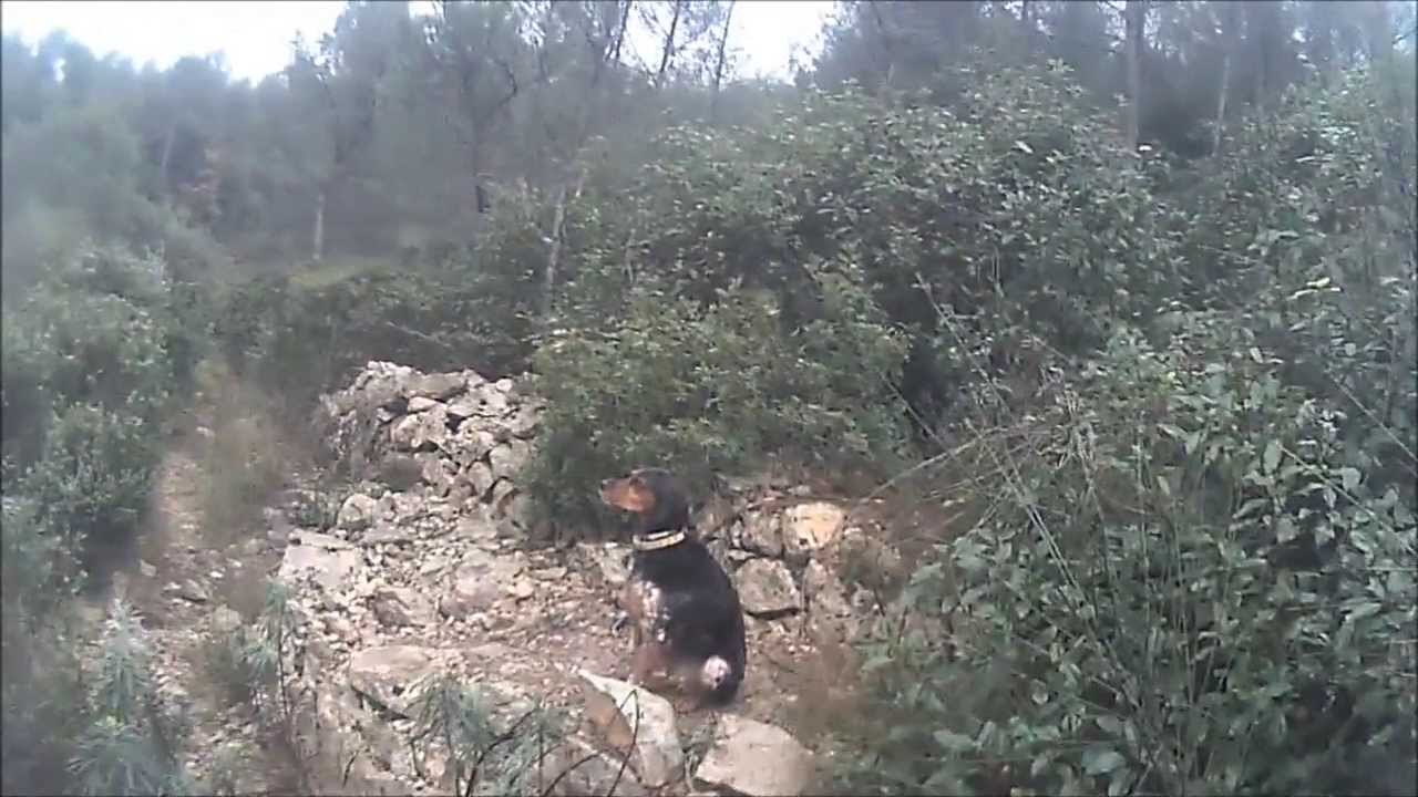 au poste &agrave; grives mardi 7 janvier toucas