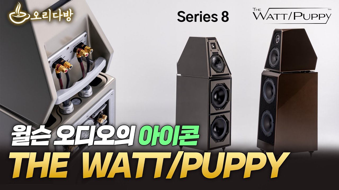 [오리다방] 윌슨 오디오의 아이콘, THE WATT/PUPPY