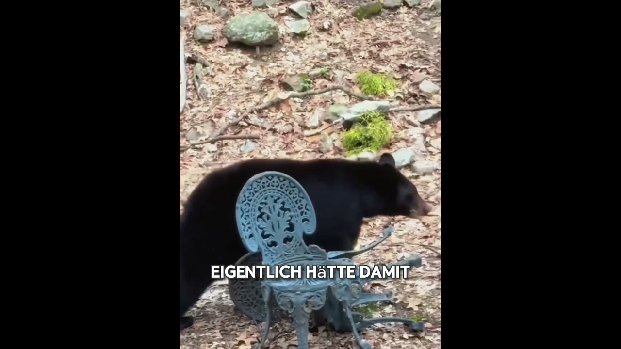 Zwischen dem Schwarzb&auml;ren und dem Paar entstand eine tiefe Bindung #tier #tiere