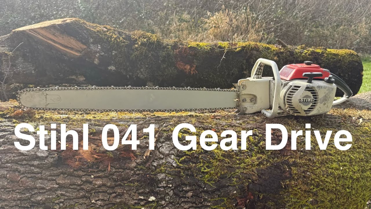 Stihl 041G Gear Drive Chainsaw cutting a 30” Oak. 