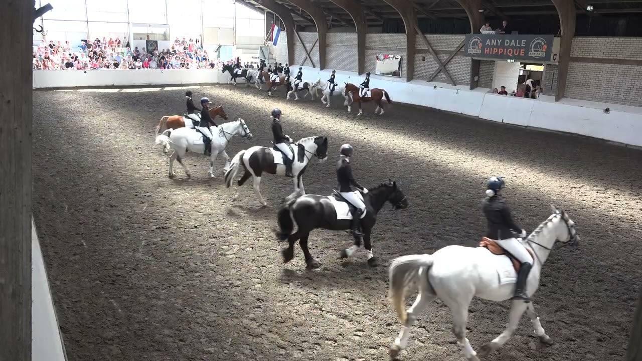 Blijf Gericht Nederlands kampioenschap Carrousel 2025 - Any Dale's Angels