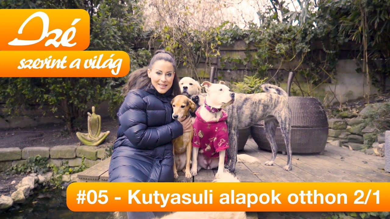 Izé szerint a világ #05 – Kutyasuli alapok otthon 1.