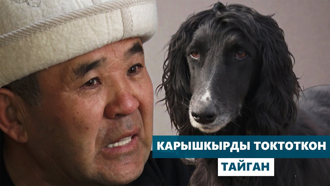 МАНАС ЭПОСУ   КЫРГЫЗ РУХУНУН ТУУ ЧОКУСУ