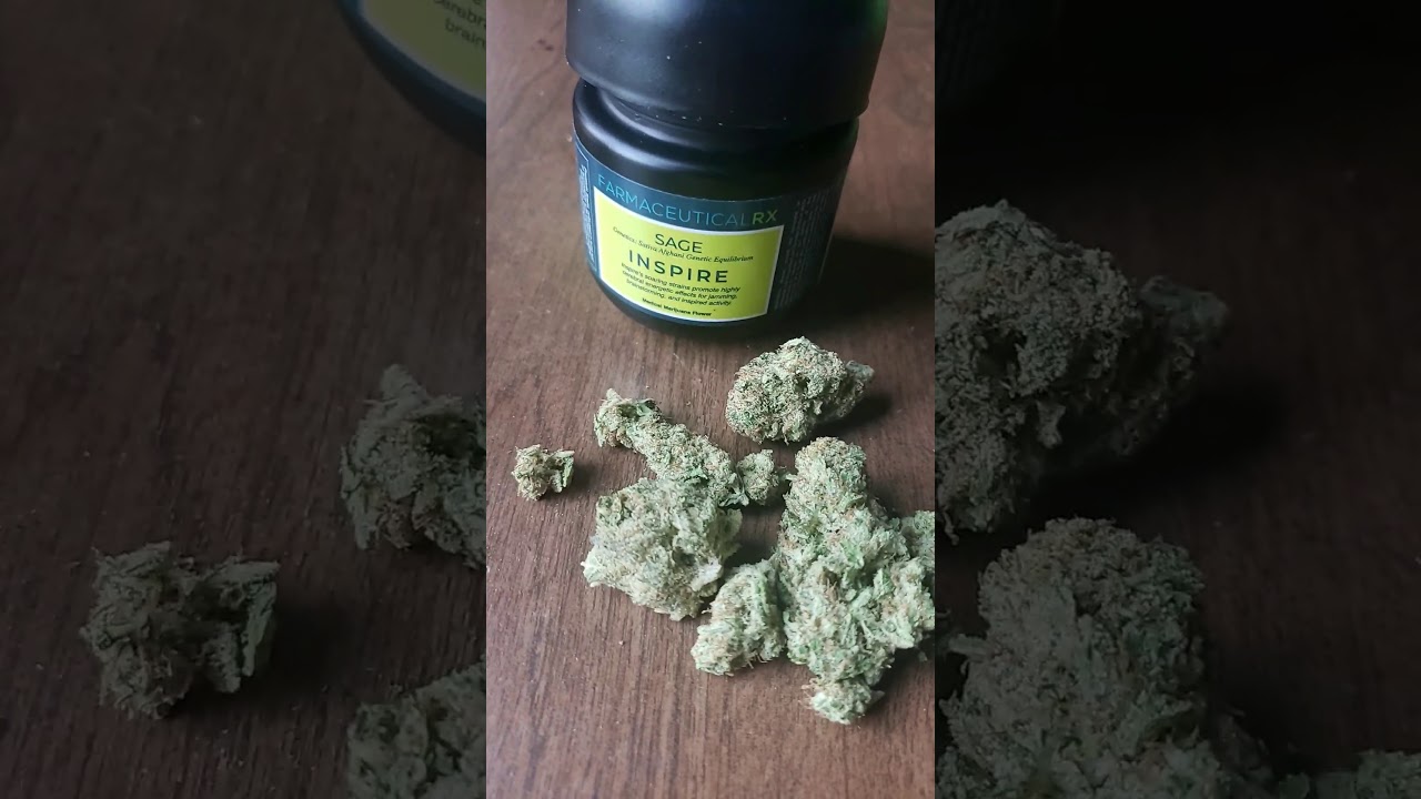 🌳💨Medical Marijuana Review #56 : S.A.G.E : Farmaceutical RX