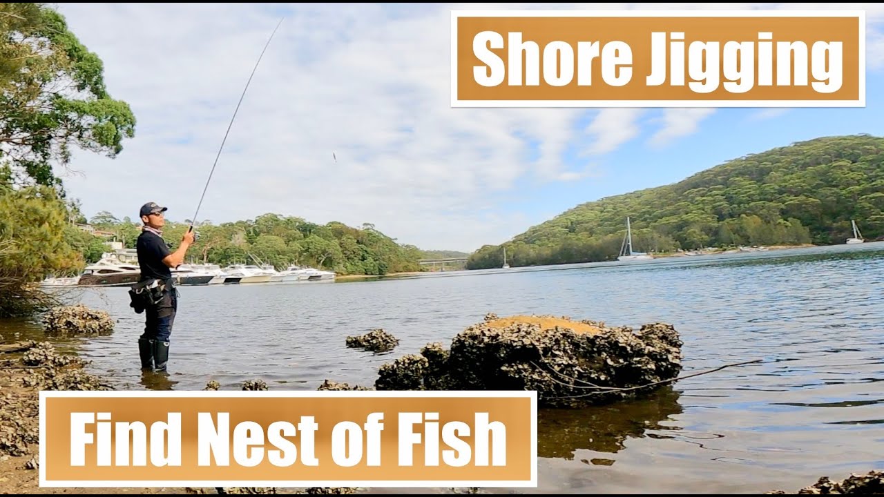 Fish Never Stop Attacking This Jig | Shore Jigging