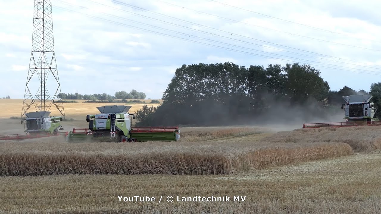 3x Claas Lexion 780TT / Getreideernte - Grain Harvest  2019