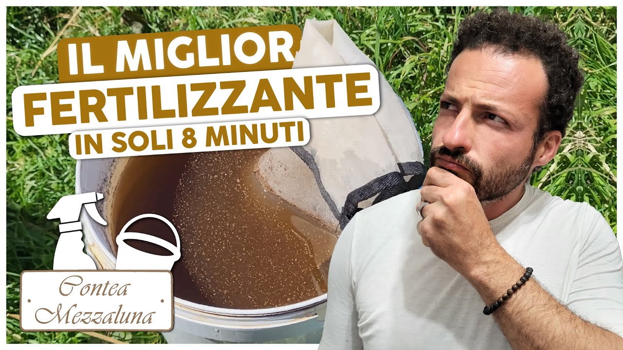 MIGLIORE FERTILIZZANTE PER PIANTINE: FAI DA TE E A COSTO 0