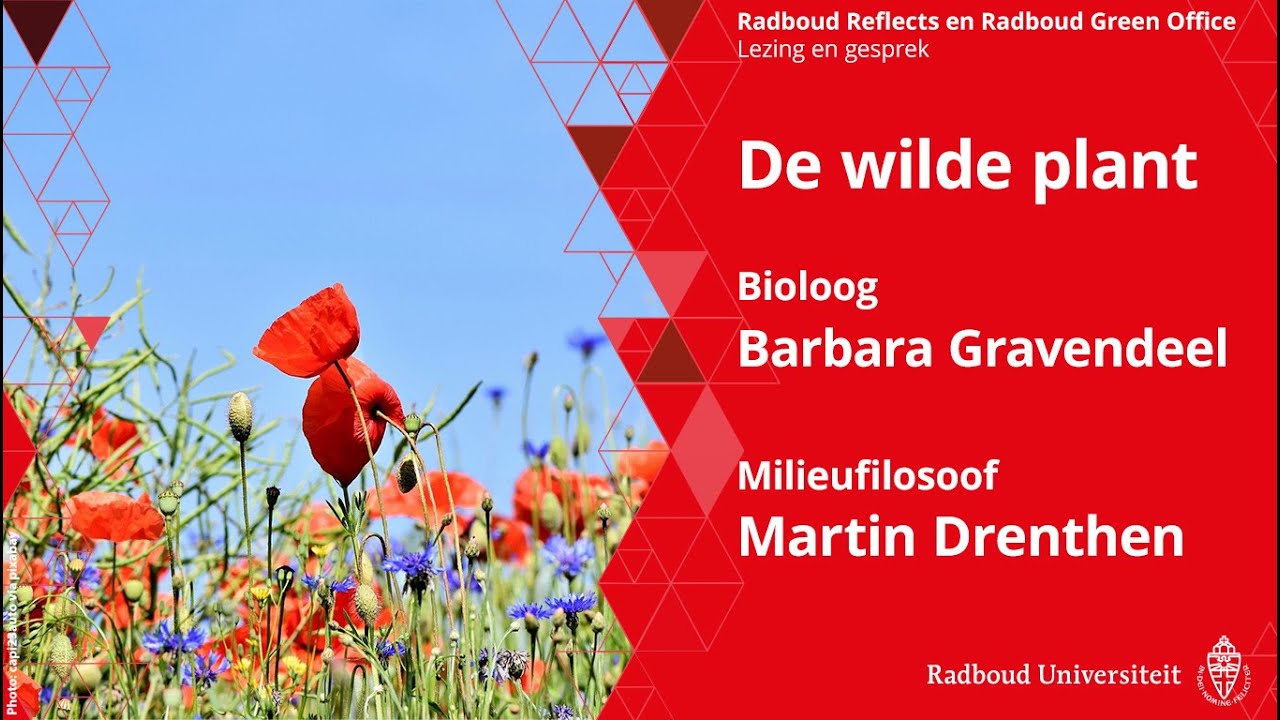 De wilde plant | Lezing en gesprek met bioloog Barbara Gravendeel en milieufilosoof Martin Drenthen