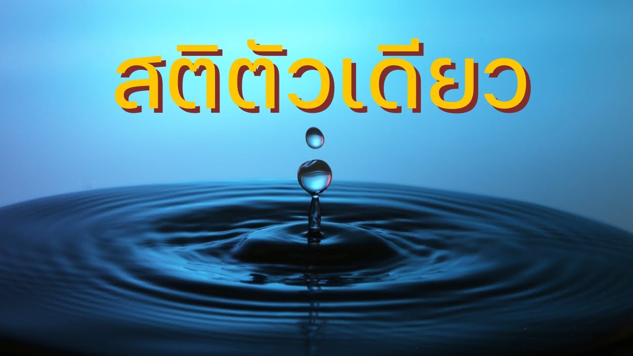 2569.03.09 สติตัวเดียว [ท้ายคลิป : เล่าเรื่องธุดงค์ 1] (พระอาจารย์สิงห์โตทอง) #ตถตา #สติ #นิพพาน