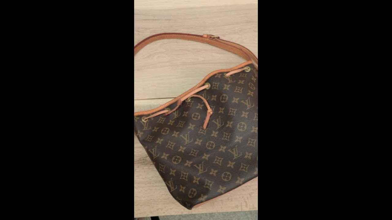 Louis Vuitton petite Noe organizer! #lv #bagorganizer