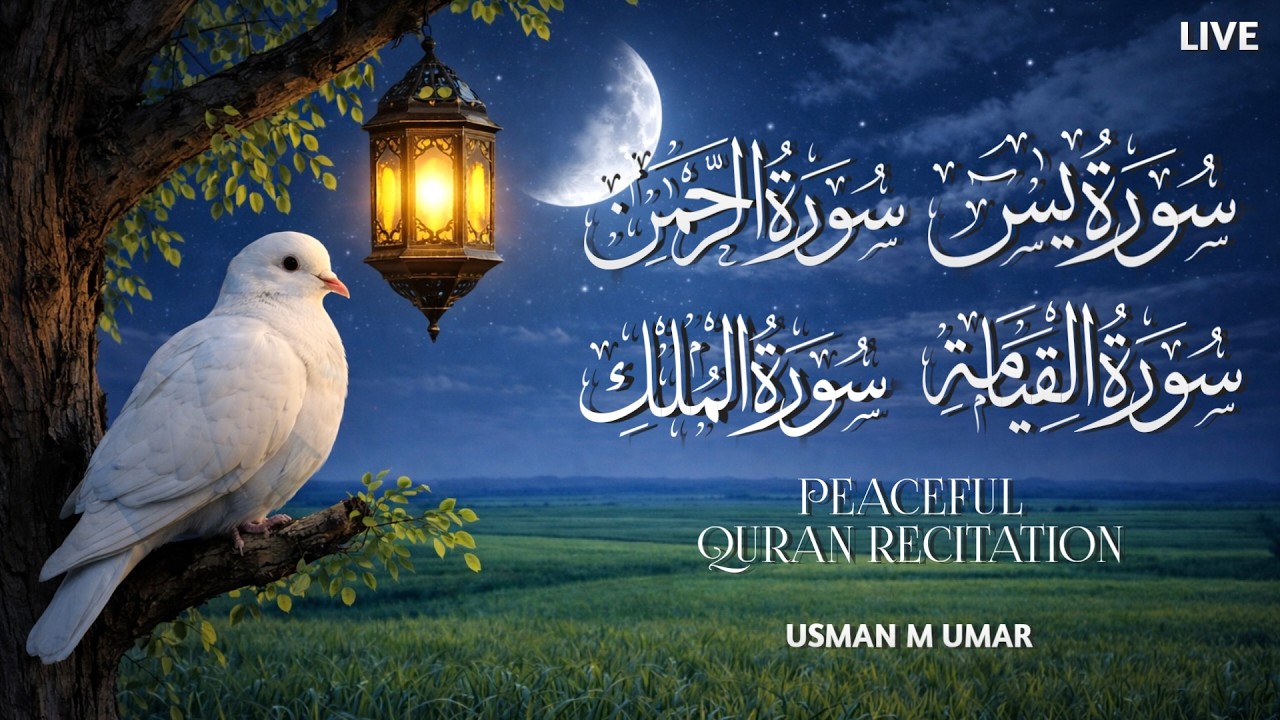 Ramadan Quran Live | Surah Rahman, Yasin, Mulk | Peaceful Quran recitation | UMU TV