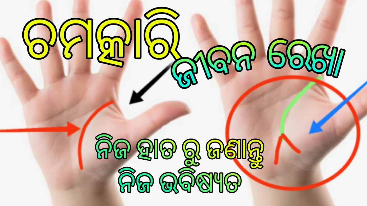 How To Read Your Own Hand Palm | Learn Palmistry | Jiban Rekha | Palm Reading In Odia