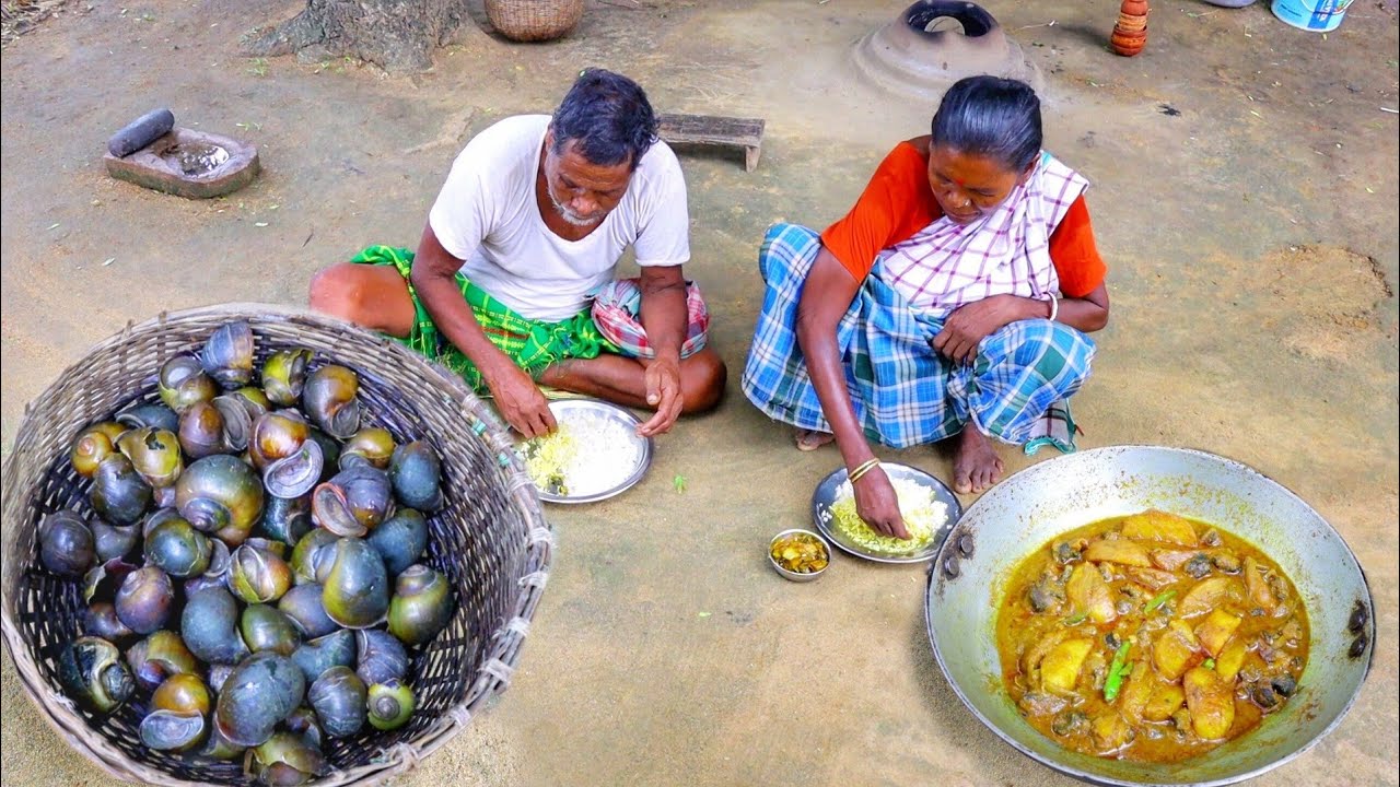 big snail cooking & eating by santali tribe old couple || snail recipe