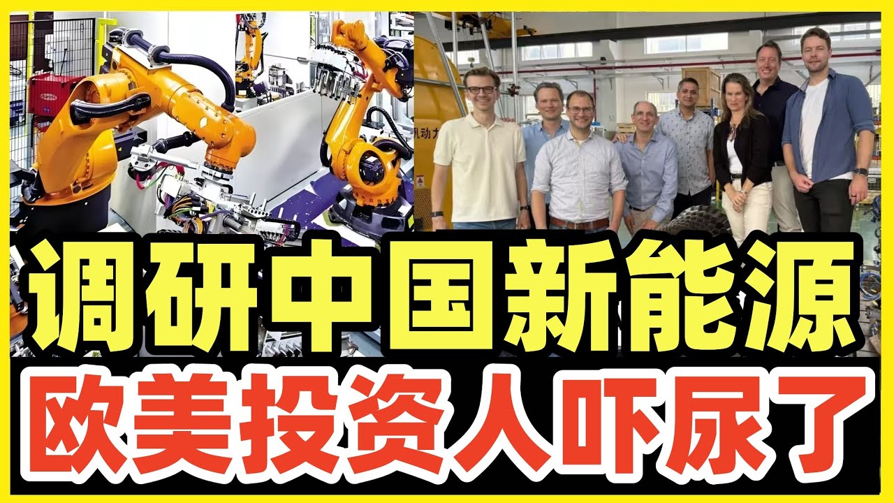欧洲顶级投资人深度调研中国新能源！团队惊掉下巴，回国后立刻砍掉所有新能源项目！