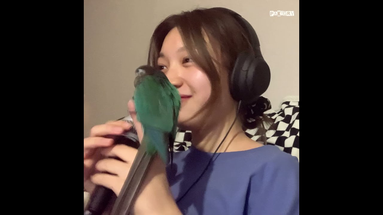 [live clip] mmddyy (맨디) - Trippy / with parrots