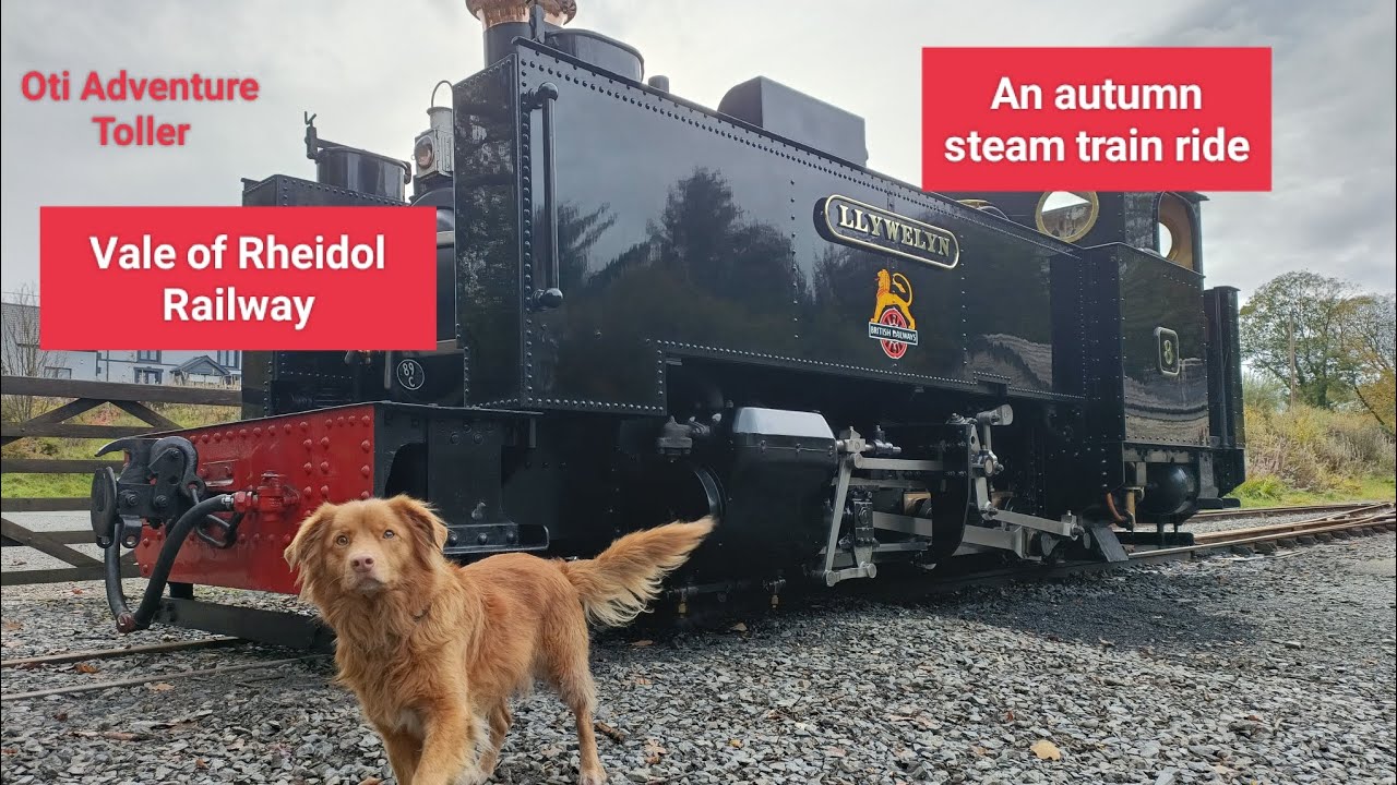 Gorgeous Autumn colours, for a nostalgic train trip through the Vale of Rheidol, Wales.