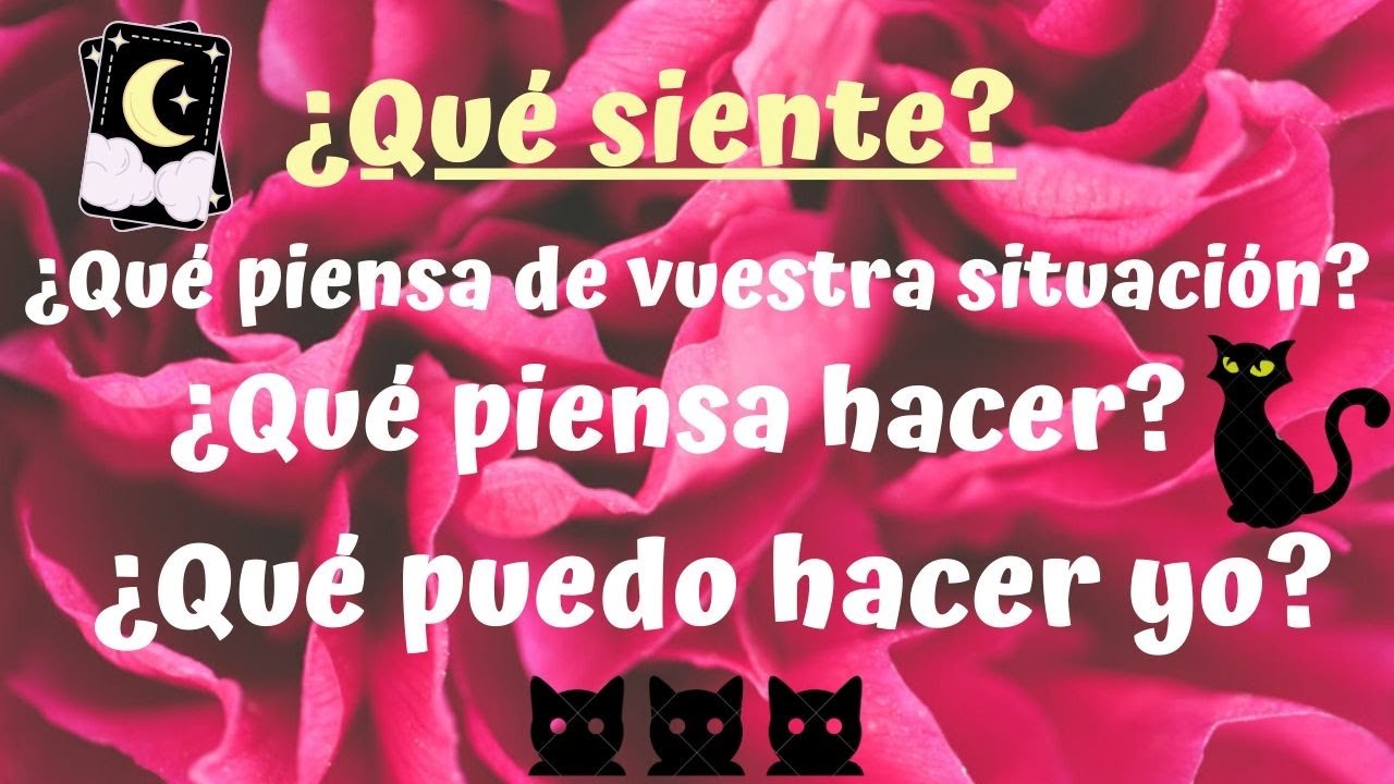 🎀✨TIRADA INFINITA✨🎀Todo acerca de tu persona especial...🔮Tarot interactivo