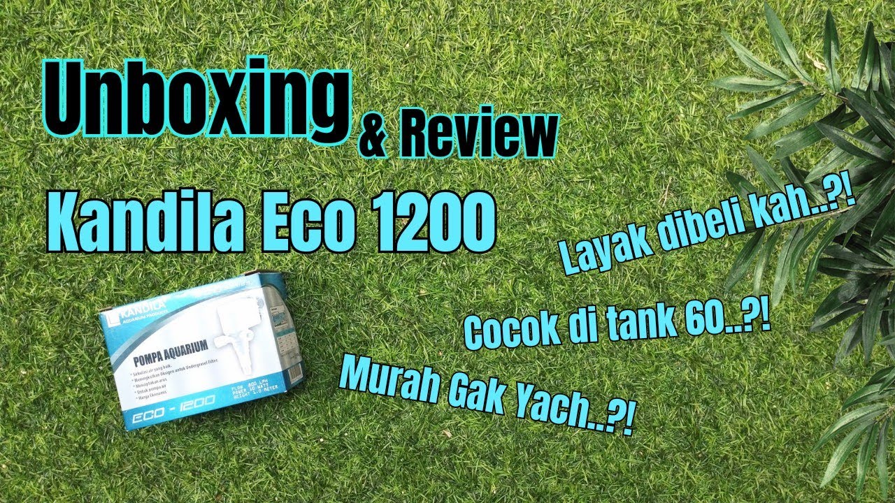 Unboxing & Review Pompa Aquarium Kandila Eco 1200, Layak ?! Cocok ?! Murah ?!