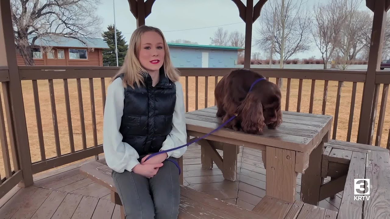Montana teen makes her mark at the Westminster Dog Show
