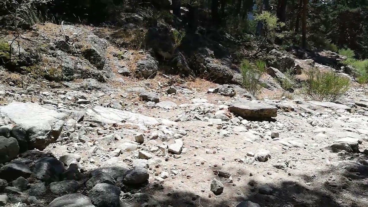 LA CALZADA ROMANA DE CERCEDILLA