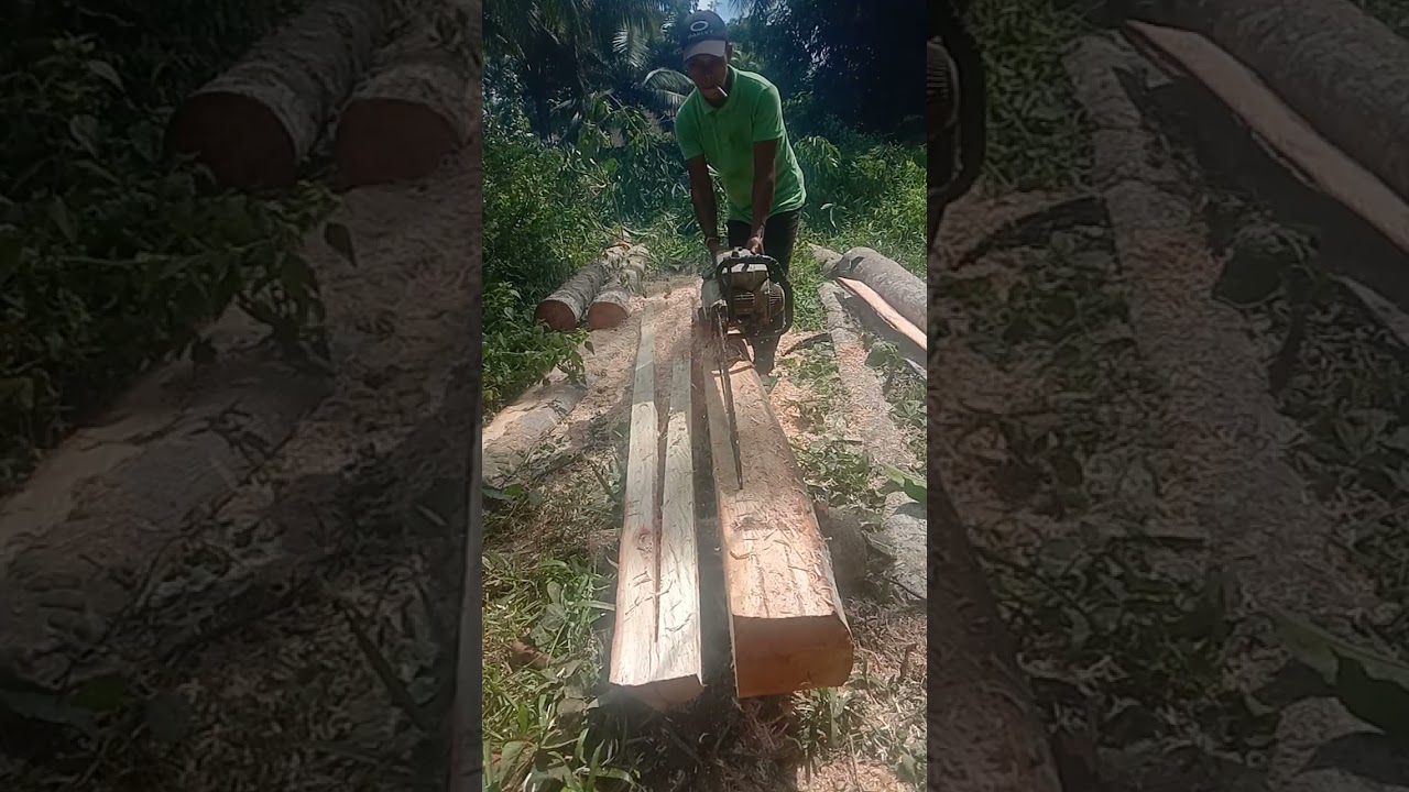 Ang chainsawman 