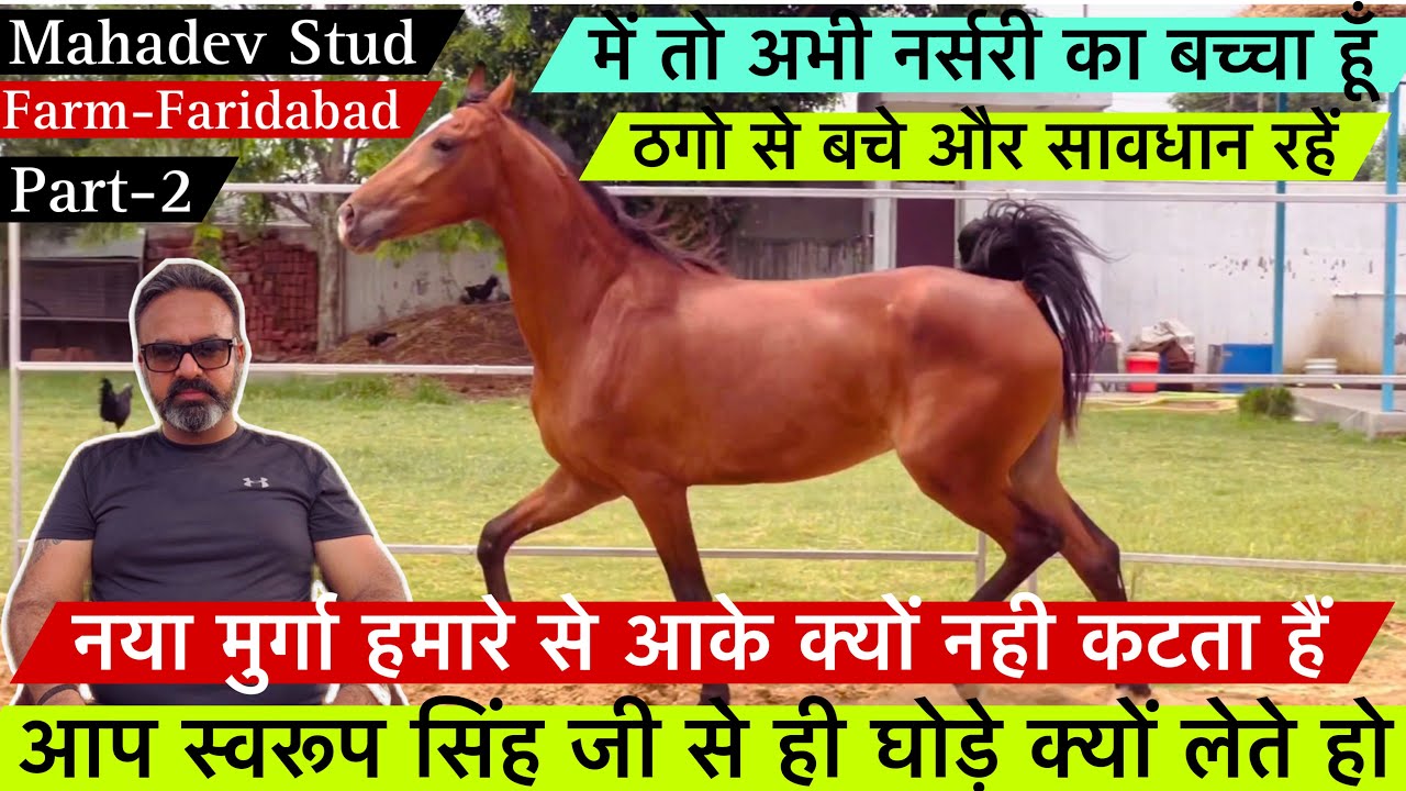आप स्वरुप सिंह जी से ही घोड़े क्यों लेते हो और मैं तो अभी नर्सरी का बच्चा हूं ! (9810137546)