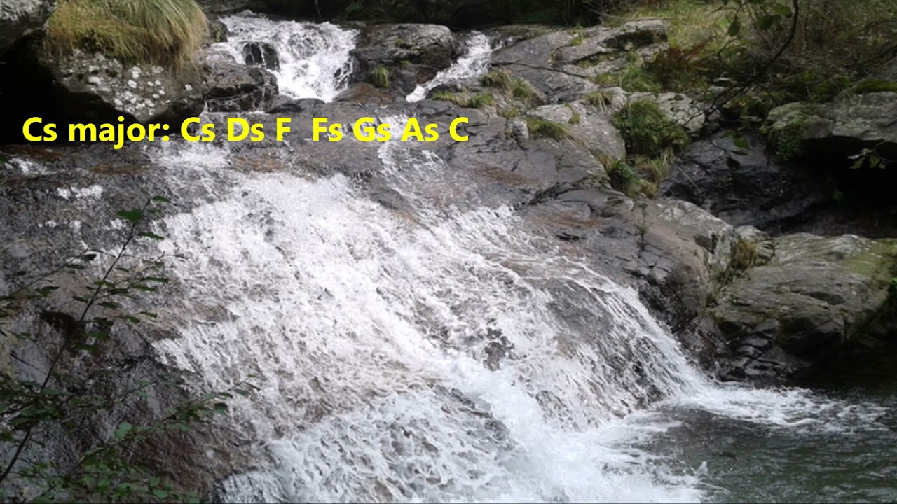 24 Preludes (C Cs D Ds E F) Part 1