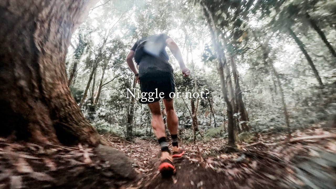 A niggle or not? // ultramarathon training through an injury