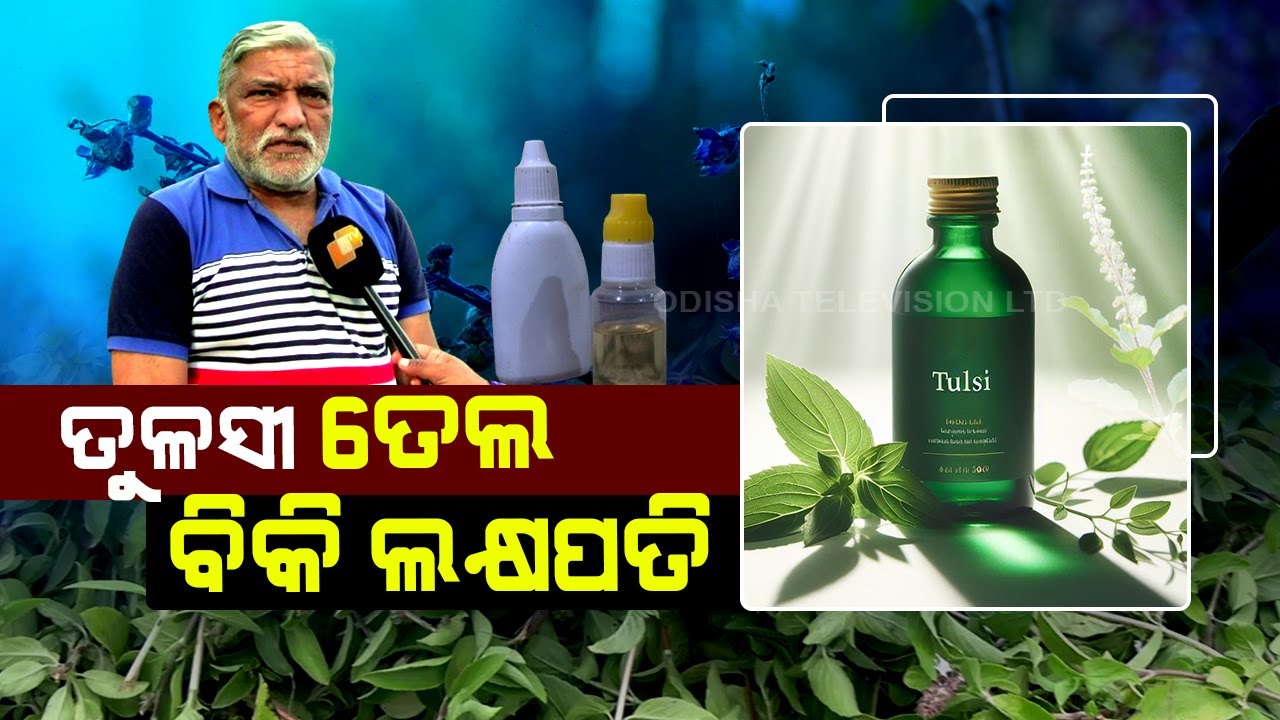 Subarnapur: Retired DFO gets rich benefits from Tulsi Farming