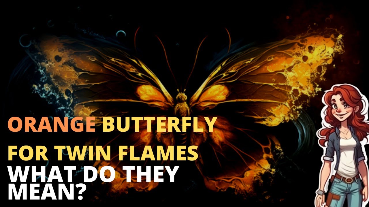 What Does an Orange Butterfly Mean for Twin Flames?