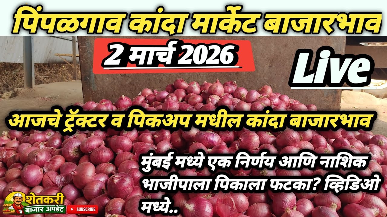 पिंपळगाव कांदा मार्केट | Pimpalgaon Kanda Market Bhav 🧅🧅 |#agriculture  2/3/2026