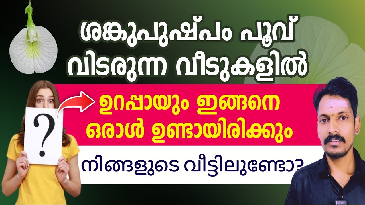 ശംഖുപുഷ്പം ഉള്ള വീട്ടിൽ കൃത്യമായും ഇങ്ങനെ ഒരാൾ ഉണ്ടാകും,അതുകൊണ്ടാണ് ശങ്കുപുഷ്പം വിടരുന്നത്.