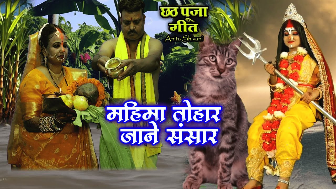 घर घर में बजाने वाला पारंपरिक छठ पूजा व्रत गीत महिमा तोहार जाने संसार  Anita shivani छठ व्रत गीत