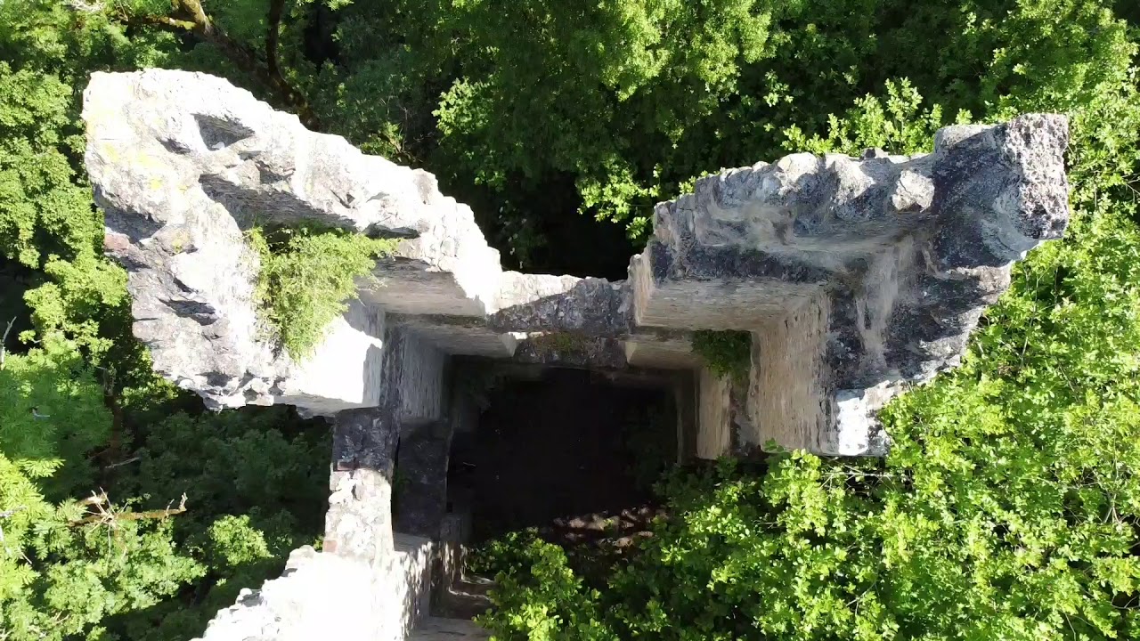Burgruine & Hofgut Neckarburg