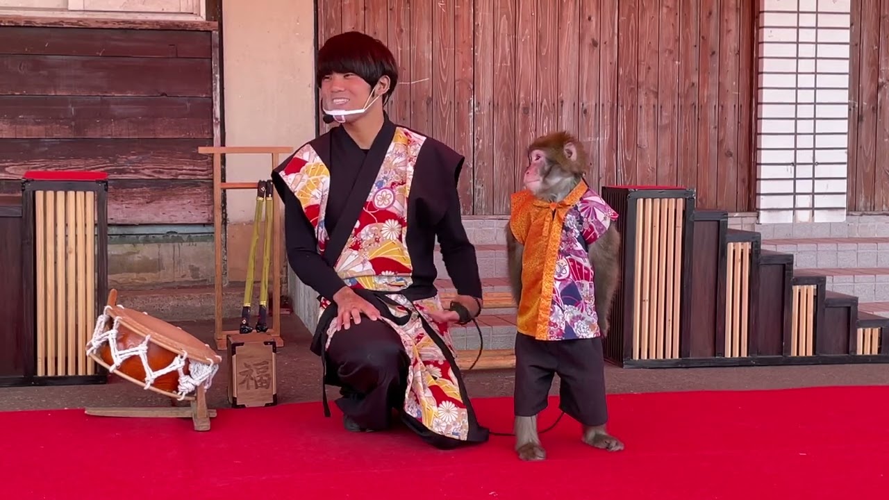 猿まわし🐵縁（えにし）🐒福くん　中山峠　神戸モンキーズ劇場　ニ助企画