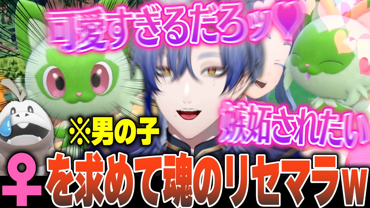 【切り抜き】ニャオハが激メロすぎて絶対に♀がいいミランのリセマラ地獄とホゲータに辛辣な初見ポケモンSV【にじさんじ/ミランケストレル】