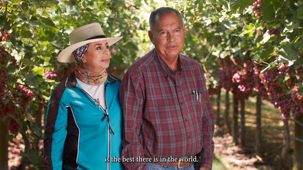 California Goodness:  Hand-picked and Handled with Care