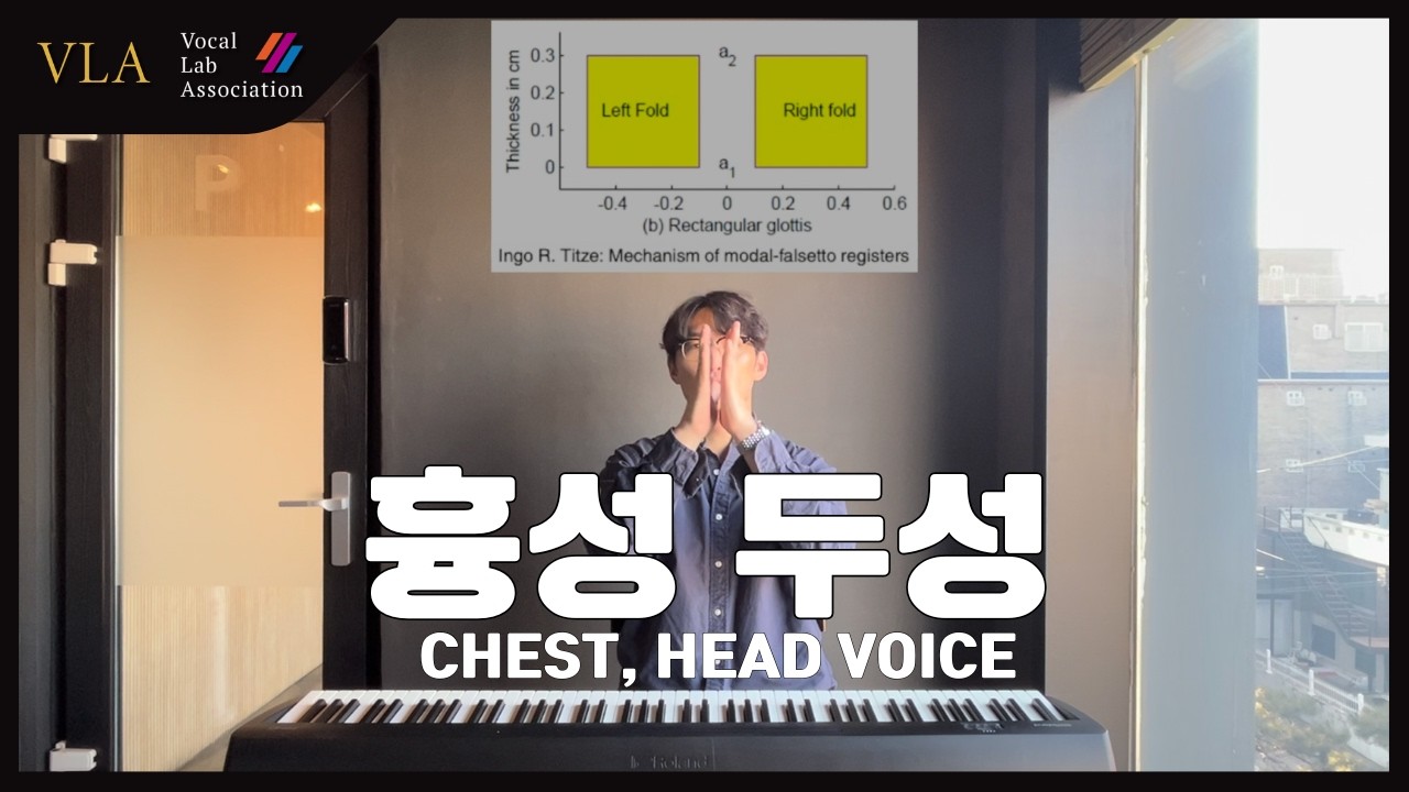 기초 보컬강의 | 4강- 공명: 성구와 흉성, 두성의 개념